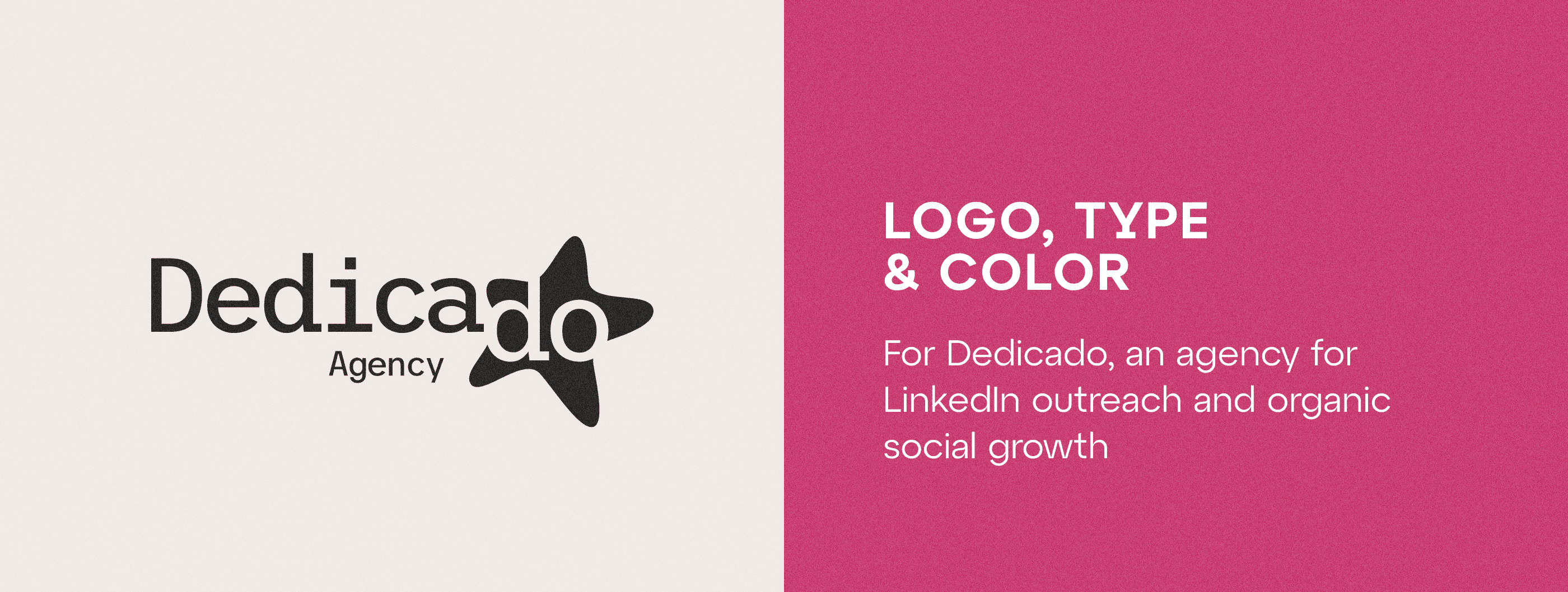 The Dedicado Agency logo with its star, next to the line: logo, type and color, for an agency for LinkedIn outreach and organic social growth