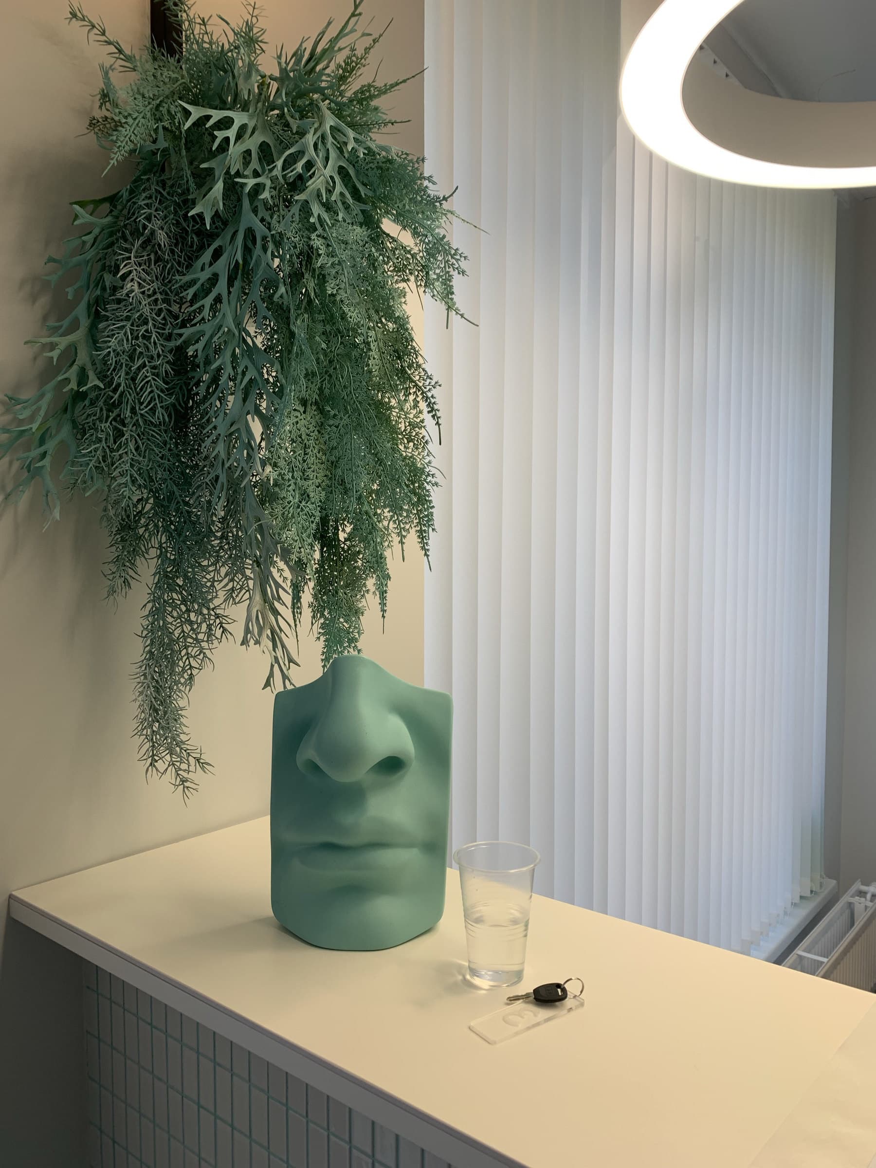 A teal face sculpture under hanging greenery in the clinic