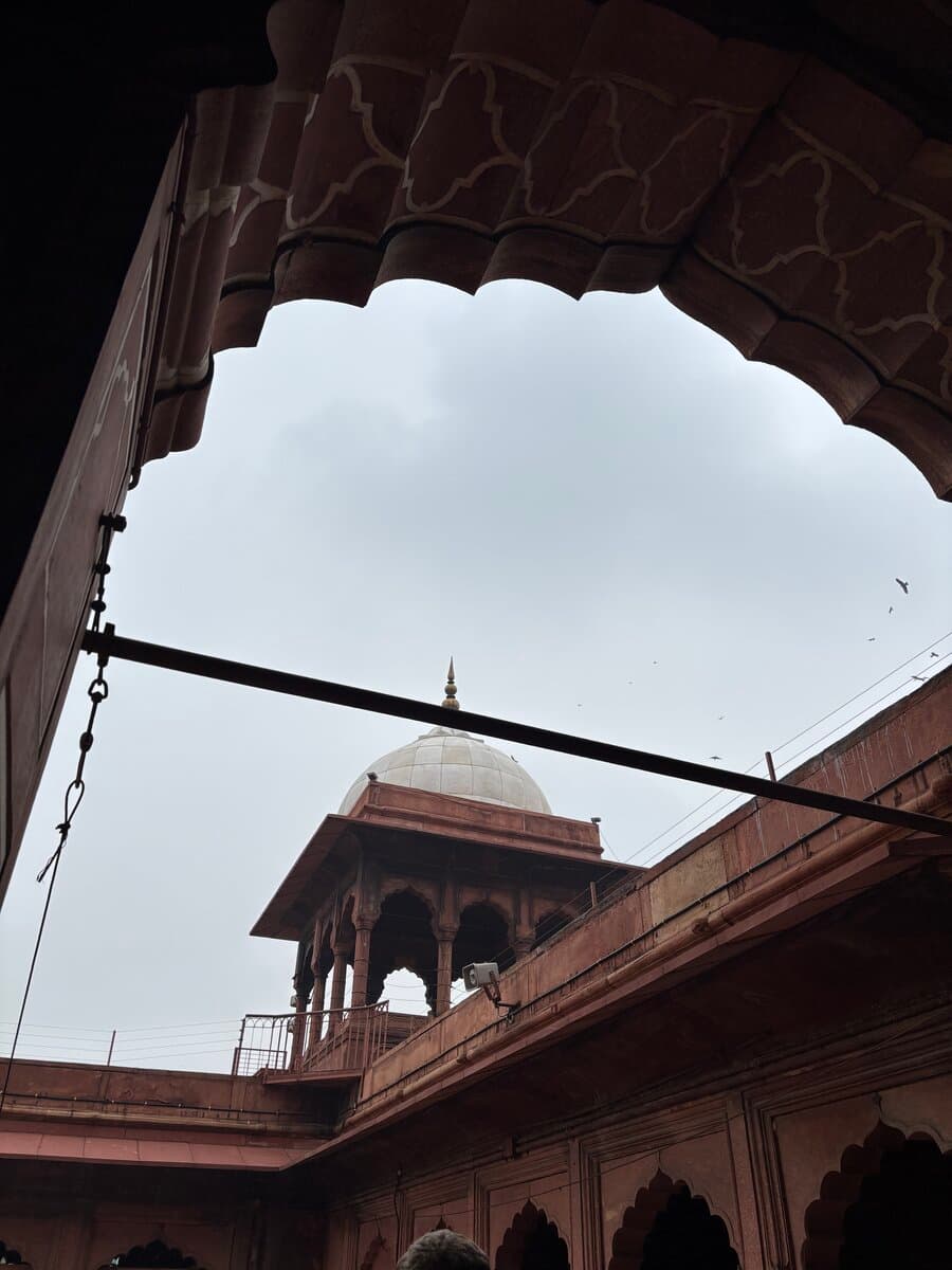 In Delhi
