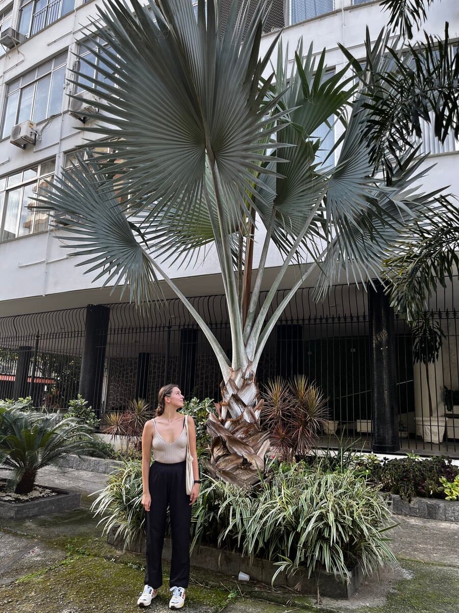 In Rio de Janeiro