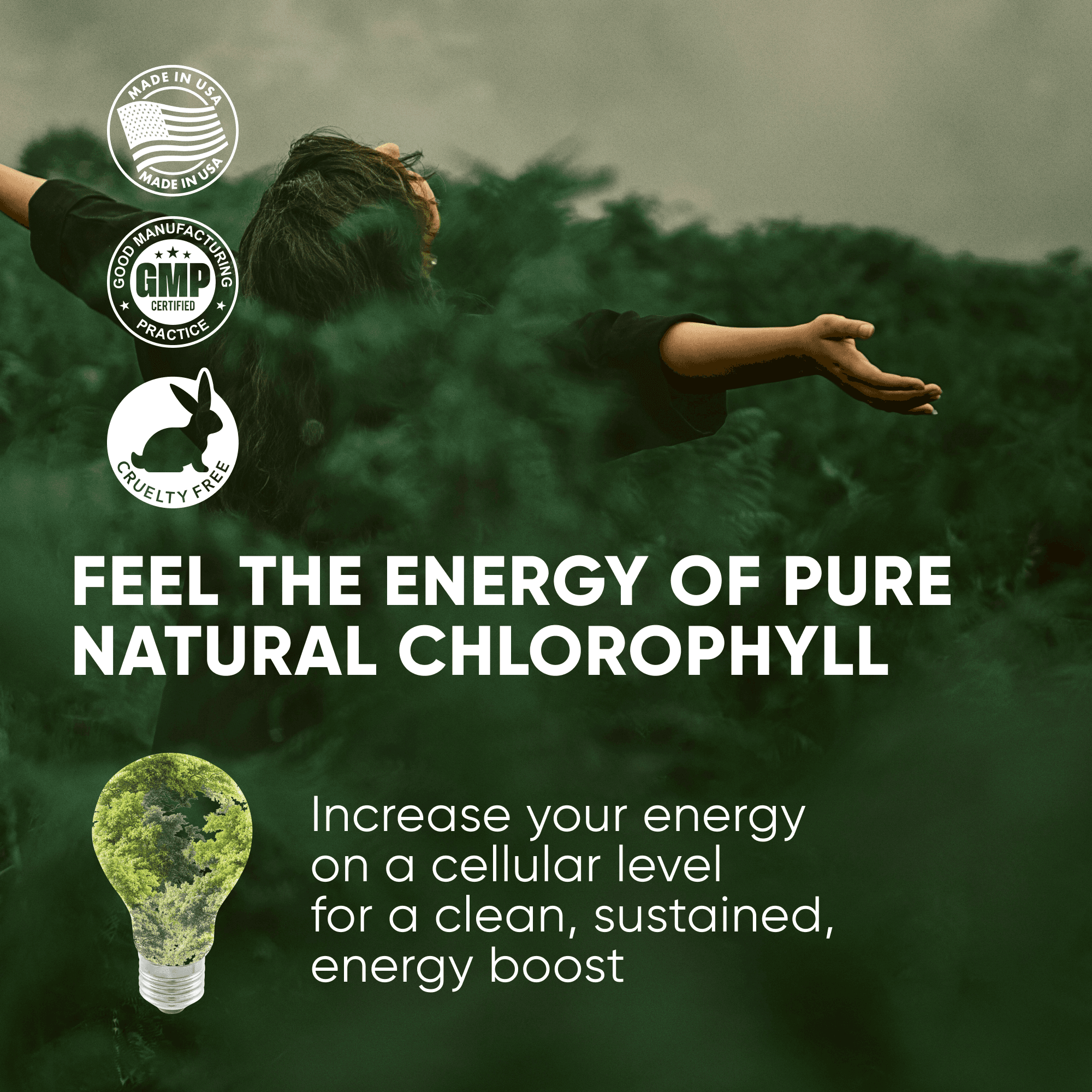 Chlorophyll listing picture: Feel the energy of pure natural chlorophyll